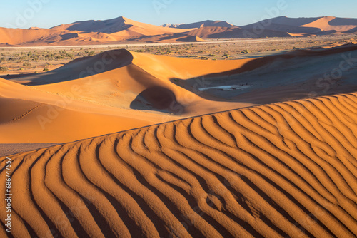 Sand dunes in the afternoon light in Namib-Naukluft Park; Sossusvlei, Namibia photo