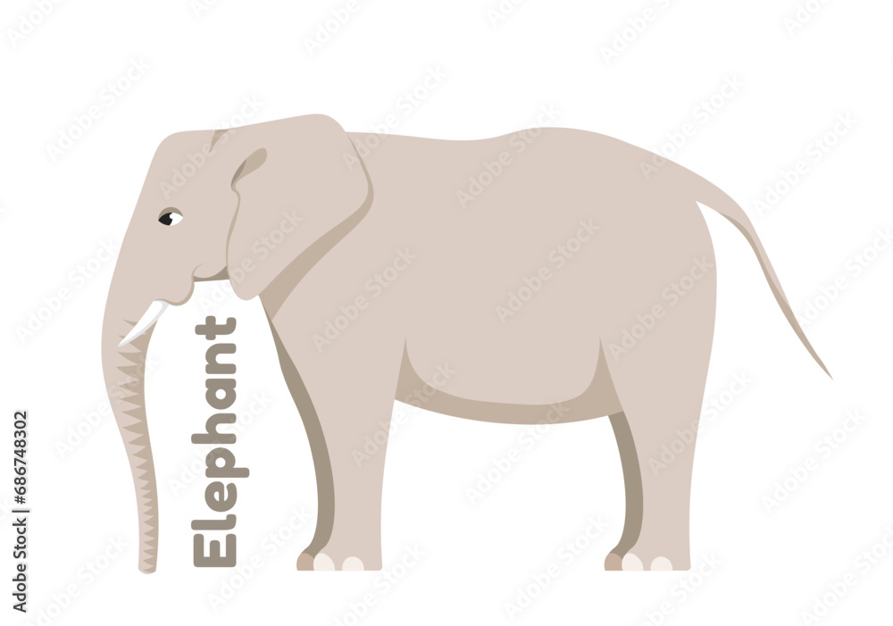 Fototapeta premium Wild African animal vector concept