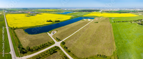 Aerial panorama of a golden canola field surrounded by harvest lines of a cut grain field with blue sky, east of Calgary, Alberta; Alberta, Canada photo