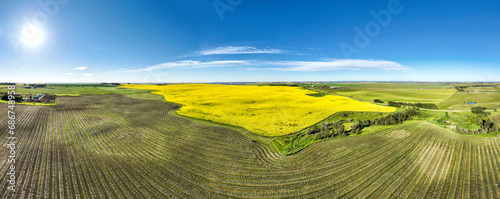 Aerial panorama of a golden canola field surrounded by harvest lines of a cut grain field with blue sky and a sun burst; Northeast of Calgary, Alberta, Canada photo
