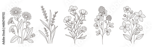 Vector Set of minimalistic flower branches in line art style