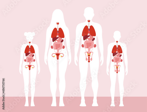 Human anatomy organs vector concept