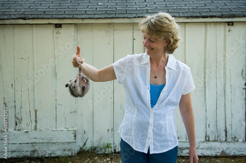 Woman stands holding an Opossum (Didelphis virginiana) by it's tail on a farm; Greenleaf, Kansas, United States of America photo