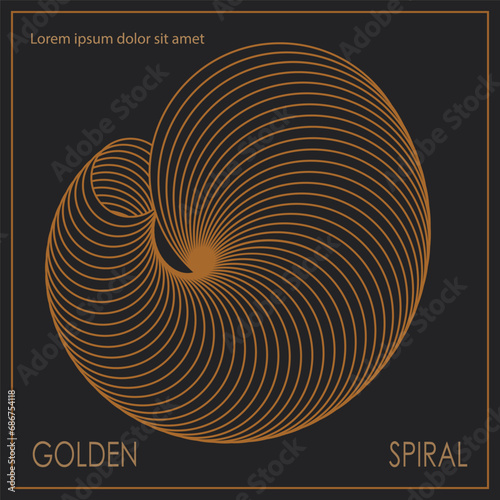 The golden spiral. A design template for the design of a cover, banner, poster. Linear composition for interior design, decorations and creative ideas