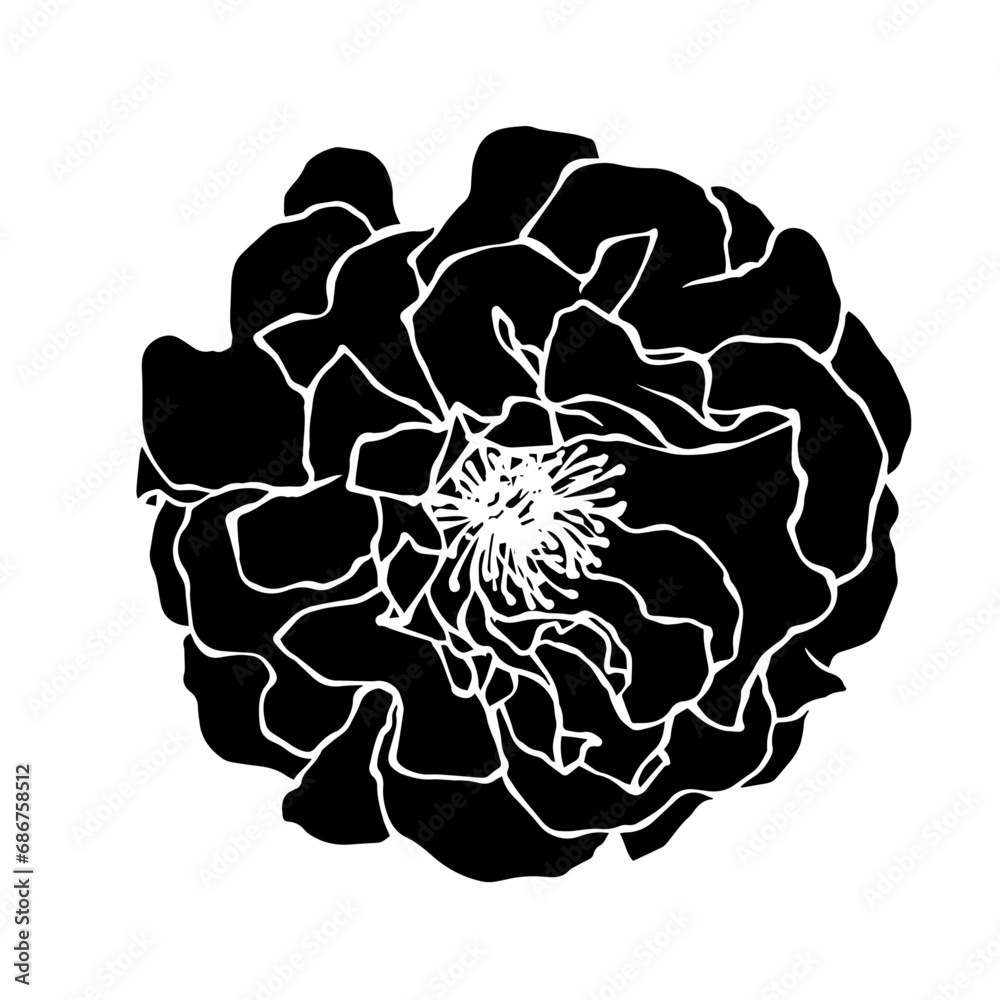 Silhouette of a flower, rose bud. Decorative botanical element. Vector graphics. Silhouette of a flower, rose bud. Decorative botanical element. Vector graphics.