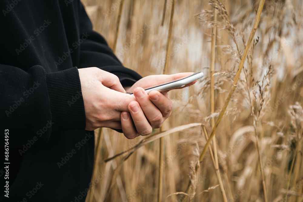 A smartphone in the hands of a man against the background of reeds, copy space.