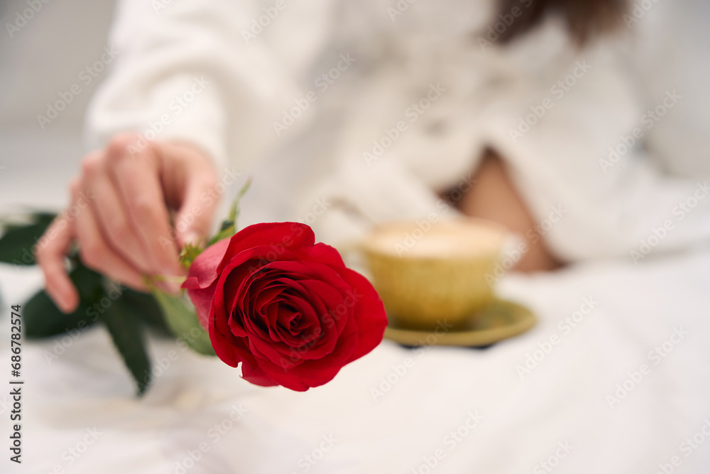 Close up view of female holding rose Close up view of female holding rose