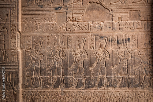 Stone wall carving at Philae temple in Aswan Upper Egypt