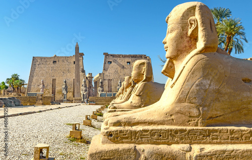 Row of Shinxes in the Temple of Luxor photo
