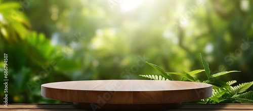 Nature garden with blurred green jungle background displaying tabletop wood counter in a tropical forest setting Copy space image Place for adding text or design