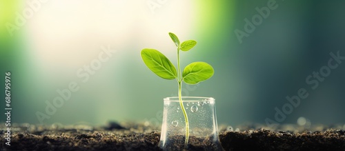 Plant biotechnology sprouting and tubular growth of green plants Copy space image Place for adding text or design