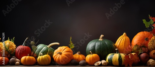 Pumpkin and vegetable frame for cooking concept Copy space image Place for adding text or design