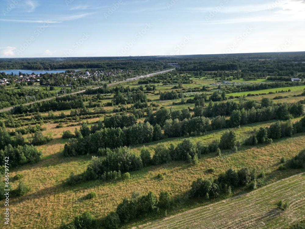 forest belts in the fields of the countryside - aerial shot.