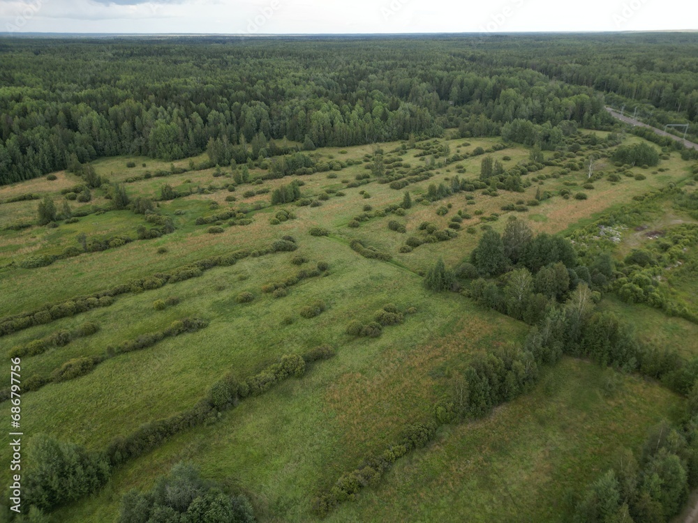 forest belts in the fields of the countryside - aerial shot.