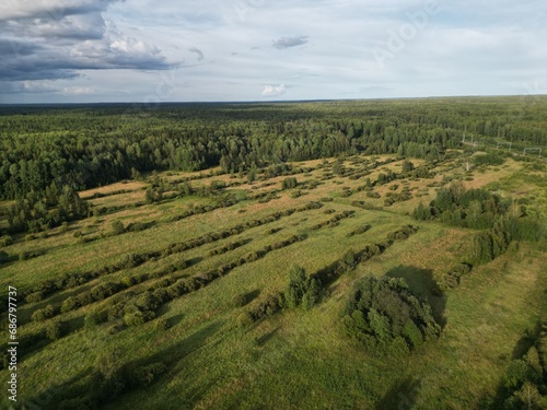 forest belts in the fields of the countryside - aerial shot.