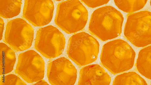 Close up of honey bees on wax honeycombs with hexagonal cells for apiary and beekeeping, concept background. Working bees on honeycomb. Wax, perga pollen and honey. Honey production.