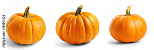 set of ripe pumpkins isolated on transparent background