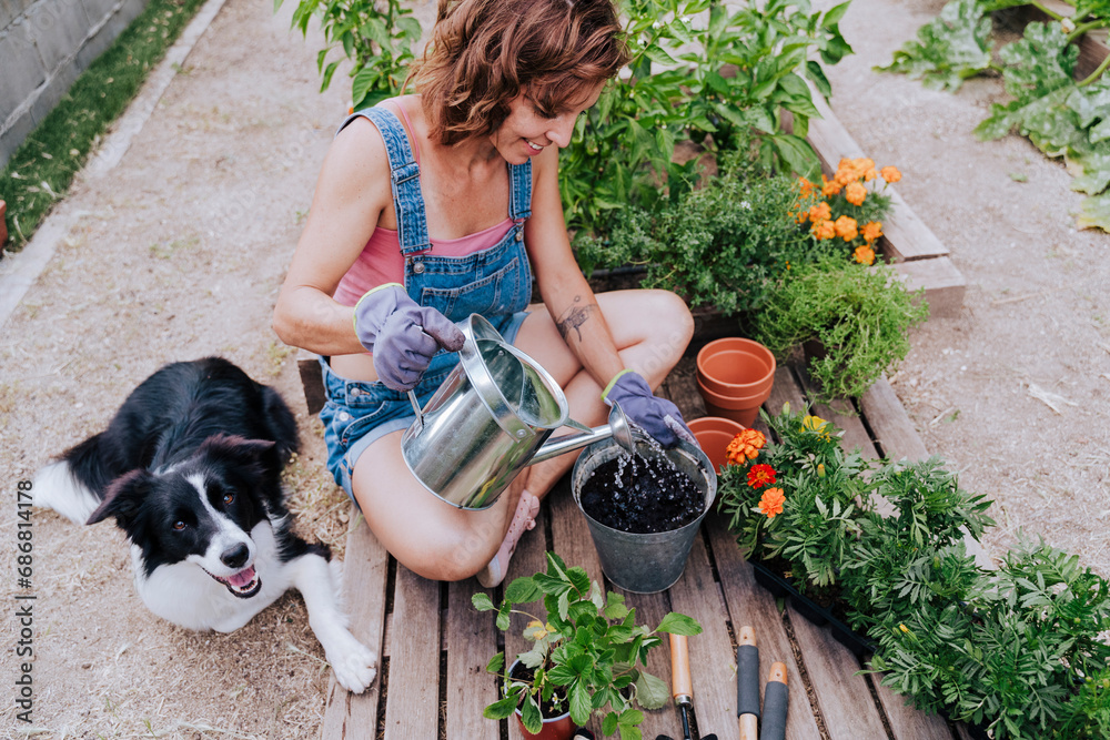 Woman watering plant while sitting with border collie at vegetable garden