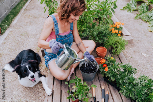 Obraz na płótnie Woman watering plant while sitting with border collie at vegetable garden w salonie