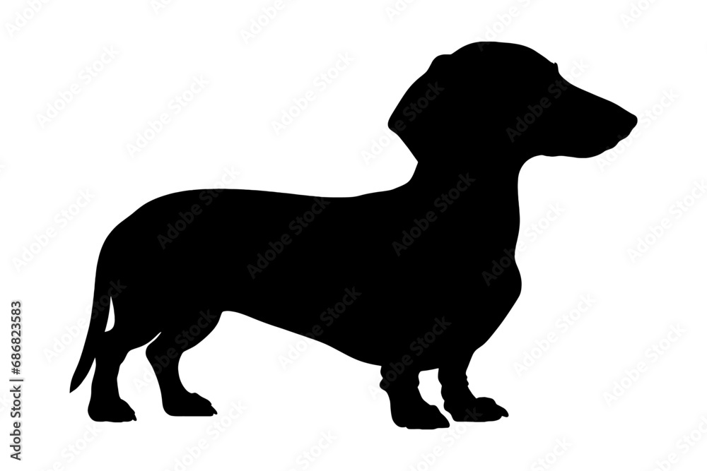 Dachshund Dog silhouette. Vector illustration