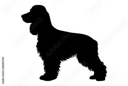 Cocker spaniel Dog silhouette. Vector illustration photo