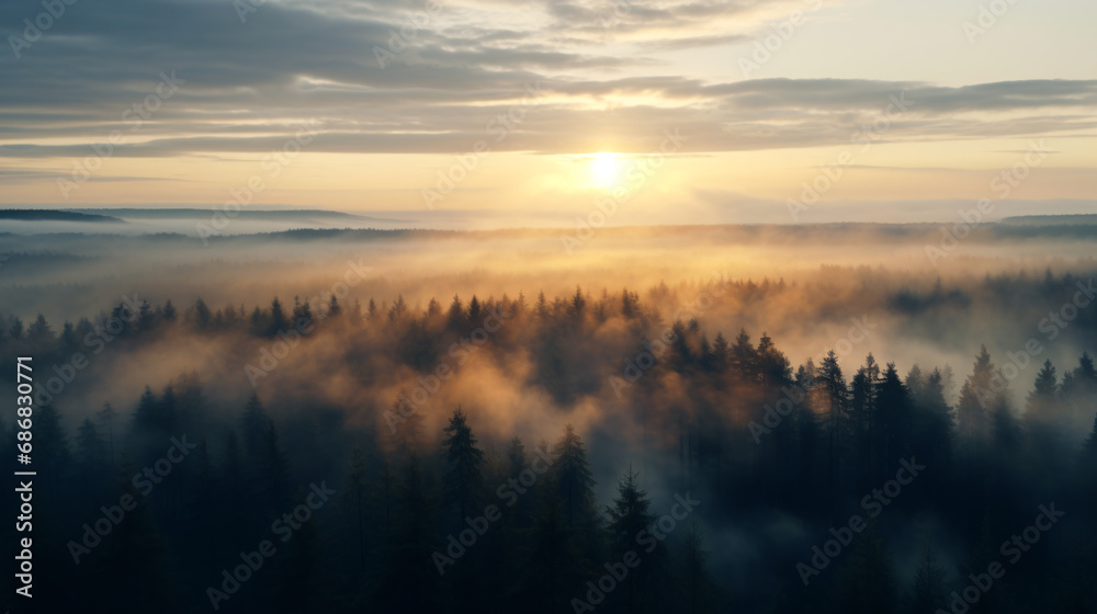 This photo was taken from a high angle in a misty forest. Sunlight rose in the misty sky. The photos show the tranquility and beauty of nature in a misty atmosphere. We could see lights radiating. This photo was taken from a high angle in a misty forest. Sunlight rose in the misty sky. The photos show the tranquility and beauty of nature in a misty atmosphere. We could see lights radiating.