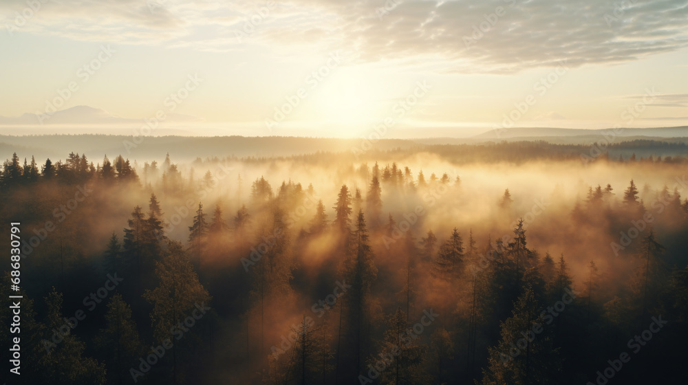 Fototapeta premium This photo was taken from a high angle in a misty forest. Sunlight rose in the misty sky. The photos show the tranquility and beauty of nature in a misty atmosphere. We could see lights radiating.