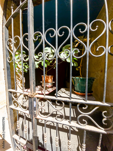 Potted flowers behind an iron grate in an old house photo