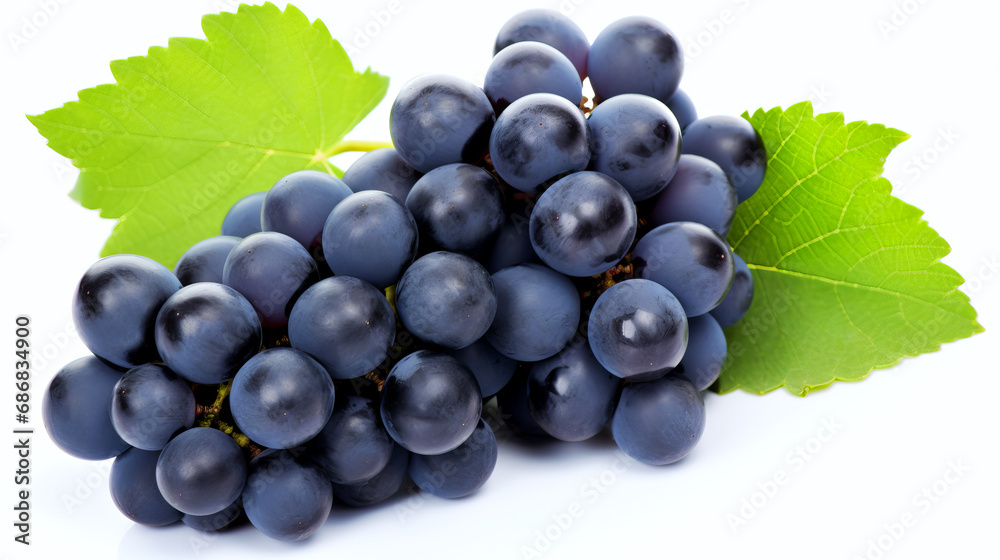 Bunch of ripe dark blue grapes isolated on white background. Bunch of ripe dark blue grapes isolated on white background.
