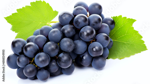 Bunch of ripe dark blue grapes isolated on white background.