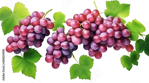 Small bunches of red grapes with leaves set isolated on white background.
