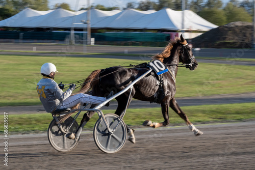 Racing horses trots and rider on a track of stadium. Competitions for trotting horse racing. Horses compete in harness racing. Horse runing at the track with rider. 