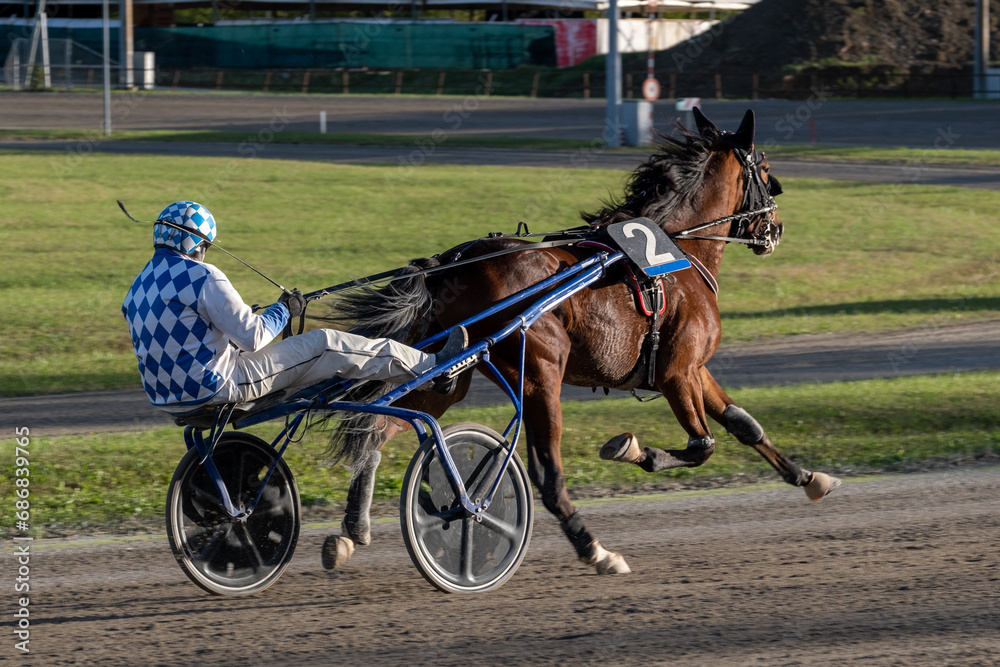 Racing horses trots and rider on a track of stadium. Competitions for trotting horse racing. Horses compete in harness racing. Horse runing at the track with rider.
Racing horses trots and rider on a track of stadium. Competitions for trotting horse racing. Horses compete in harness racing. Horse runing at the track with rider.