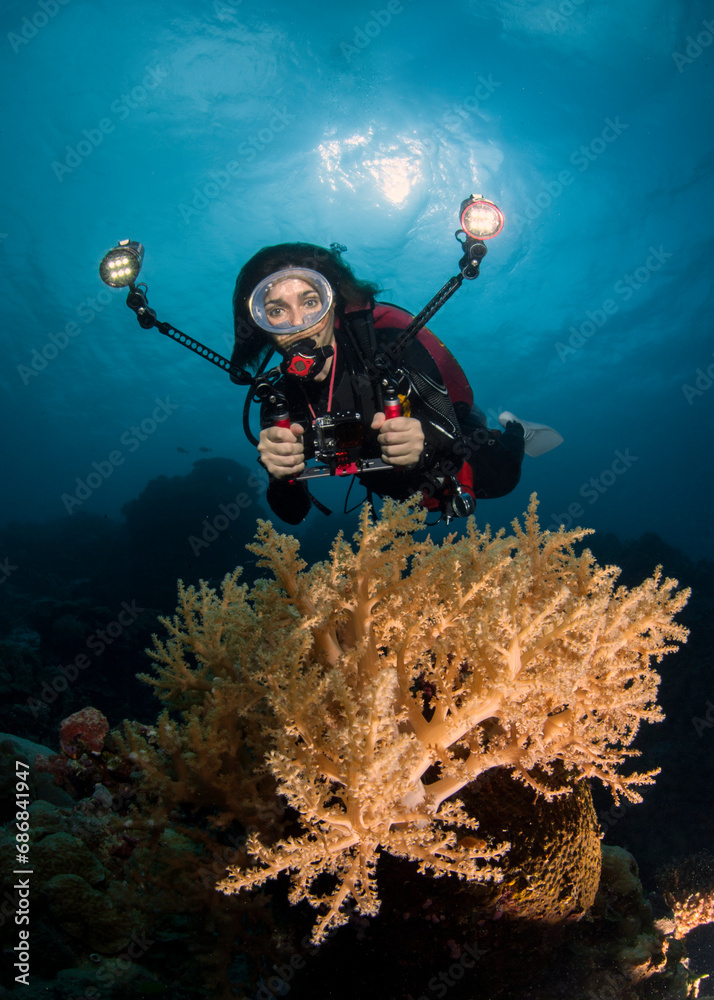 Palau, woman diving