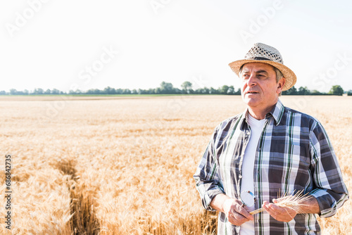 Portrait of pensive senior farmer in a field © tunedin