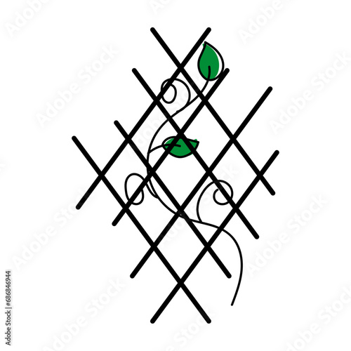 Climbing plant with trellis. Gardening theme. Vector graphic photo