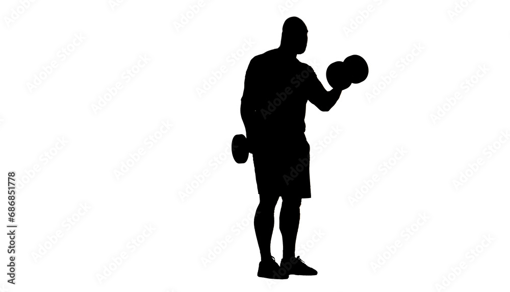 In the shot, a man stands in silhouette against a white background. He is an athlete, a bodybuilder. Demonstrates an exercise with dumbbells, lifts them. He stands sideways to the camera in profile