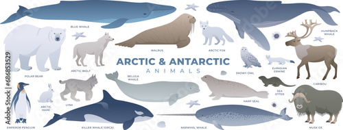 Arctic and antarctic animals set. Minimalistic vector illustrations of white continent wildlife. South pole mammals collection isolated. Snowy owl, polar bear, caribou, blue whale, orca.