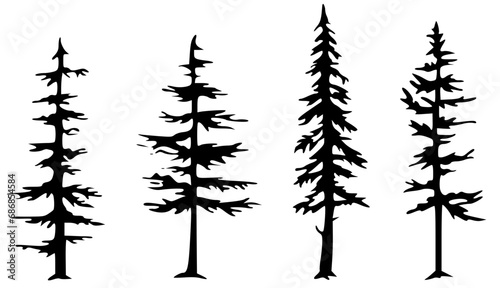 set of pine trees