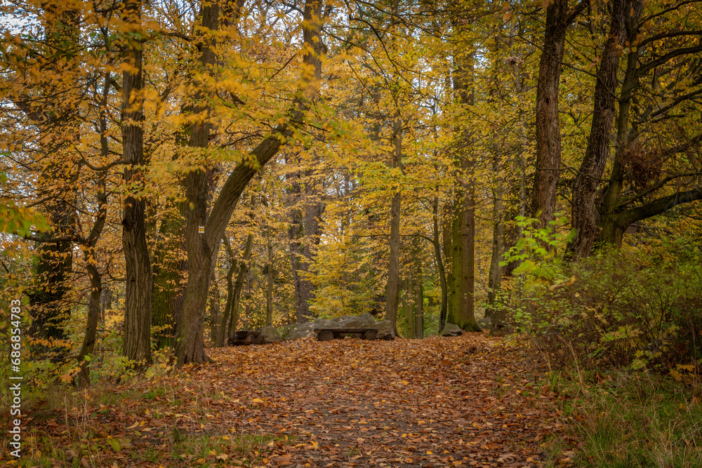 Obraz premium Landscape near Bludov and Sumperk towns in autumn color evening