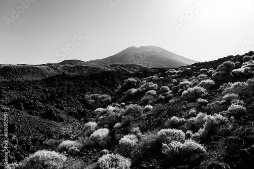 Volcano Pico Viejo - the second highest peak of Tenerife. Typical volcanic landscape. Canary Islands. Spain. Black and white. photo