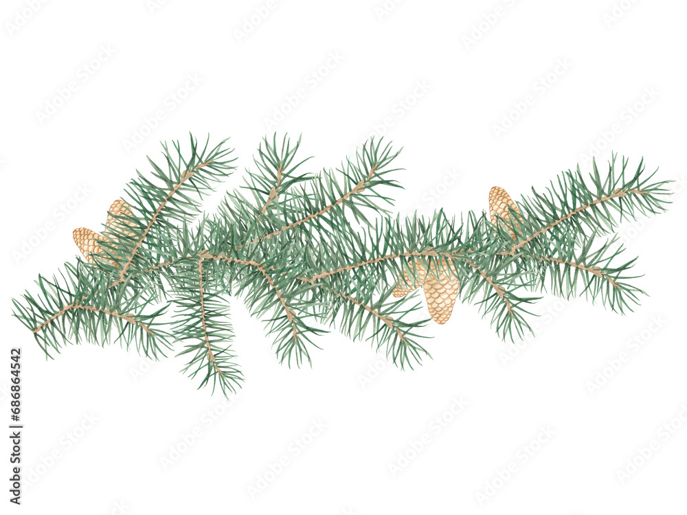 An isolated illustration of a pine branch with cones. Watercolor illustration. Christmas tree, coniferous forest, evergreen trees, needles, branches, greenery, hand-drawn. Christmas Decoration