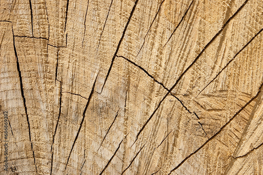 round timber, in the photo wooden logs stacked in stacks close-up round timber, in the photo wooden logs stacked in stacks close-up