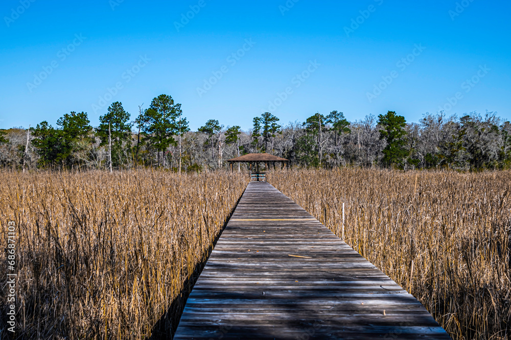 wooden pier on the river