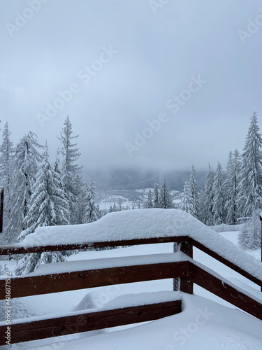 winter landscape, snow, mountains, snowy forest, mountains in fog, cloudy, snowy, spruce trees, forest, nature, balcony, view, blizzard, background © Holy