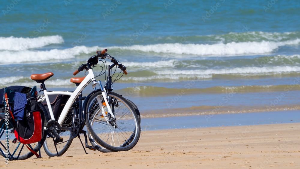 Two bicycles loaded with luggage parked on the beach.