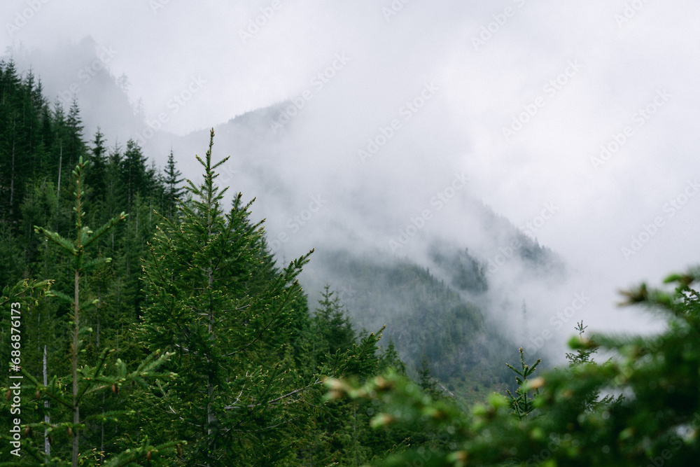 Misty mountain views from hiking trail along Snoqualmie Pass in Washington