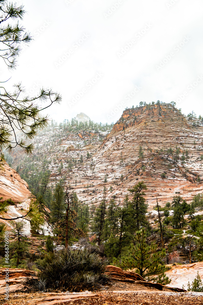 Obraz premium Zion National Park in the mist and snow