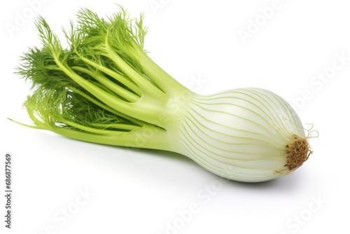 A single fennel isolated on white background
