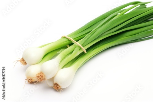 A single green onions isolated on white background